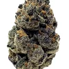 PURPLE HAZE (FEMINIZED)