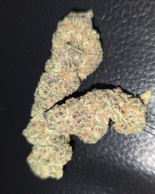 Willy Wonka (FEMINIZED)