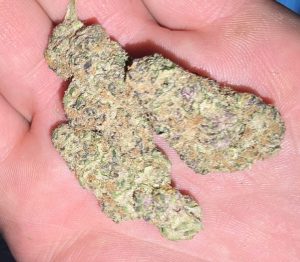 Willy Wonka (FEMINIZED)