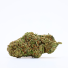GREENS GORILLA (FEMINIZED)