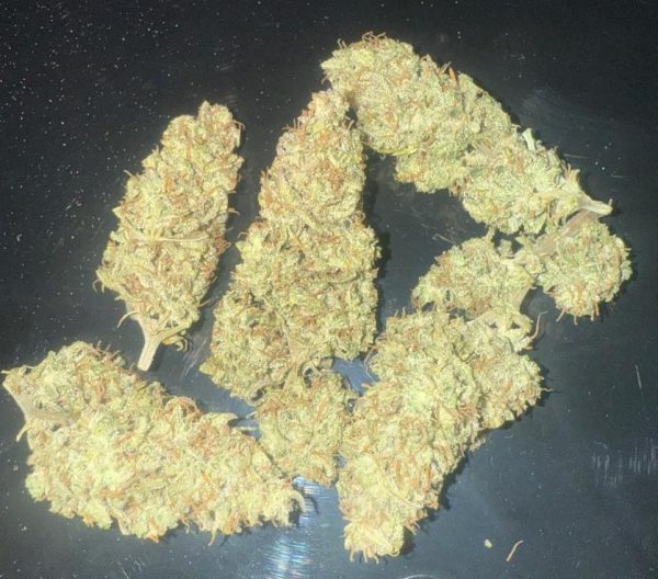 Hyperion (Feminized)