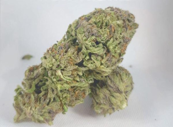 Holy Haze (FEMINIZED)