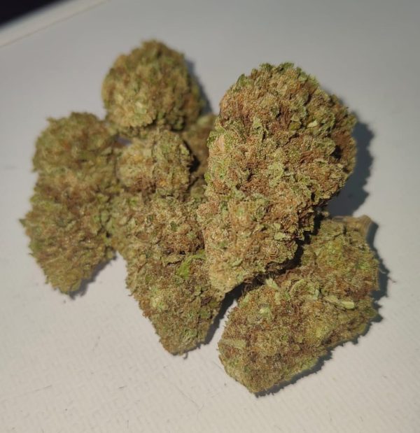 Indigo Dream F2 (Feminized)