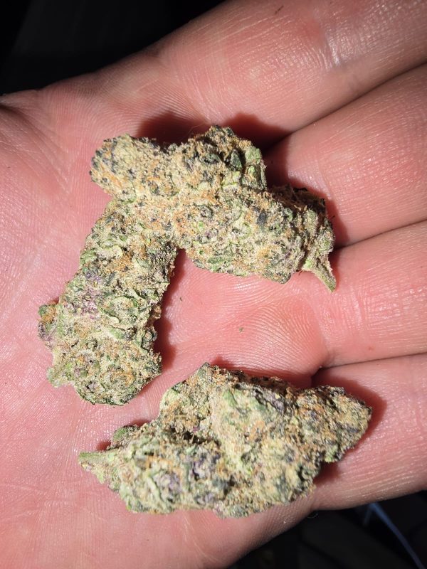 Electric Lemonade (Feminized)