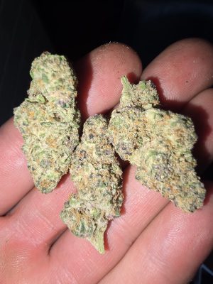 Electric Lemonade (Feminized)