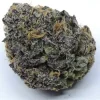 PURPLE HAZE (FEMINIZED)