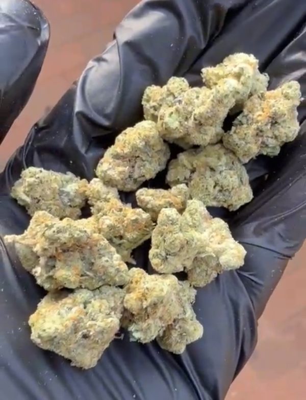 Veldskoen Vortex (FEMINIZED)