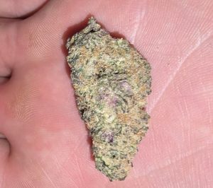 Yellow Willy HAZE (FEMINIZED)