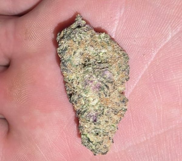 Yellow Willy HAZE (FEMINIZED)