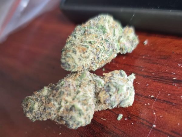 Yellow Willy HAZE (FEMINIZED)