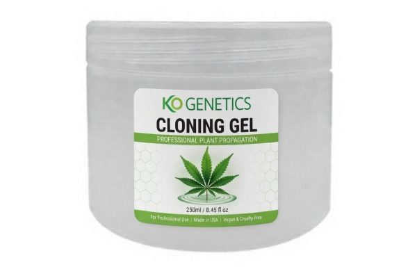 KO Cloning Gel