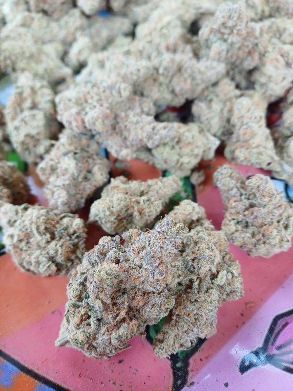 Oceanic OG (Feminized)