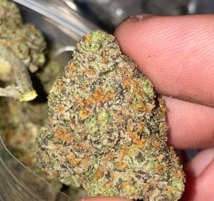 Fruit Punch (FEMINIZED)