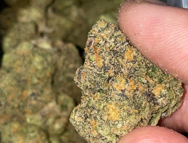 Fruit Punch (FEMINIZED)