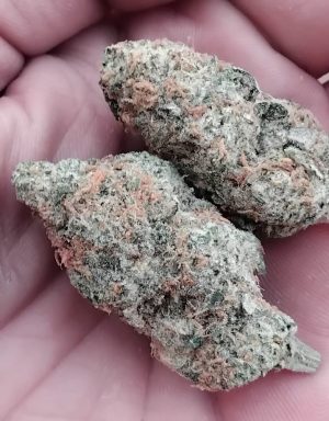 Jelly haze (Feminized)